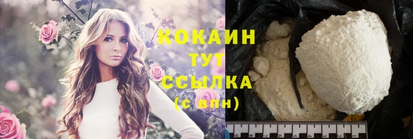 индика Балабаново