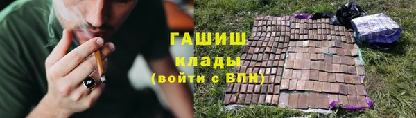индика Балабаново