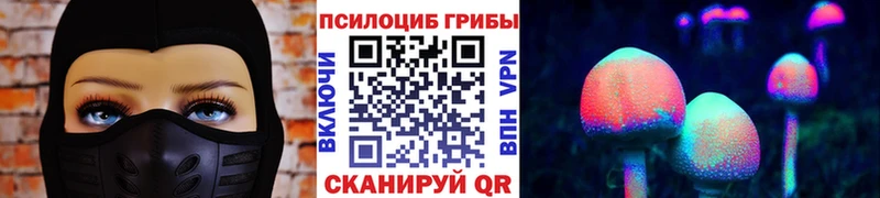 маркетплейс формула Николаевск Псилоцибиновые грибы Psilocybine cubensis hydra ТОР
